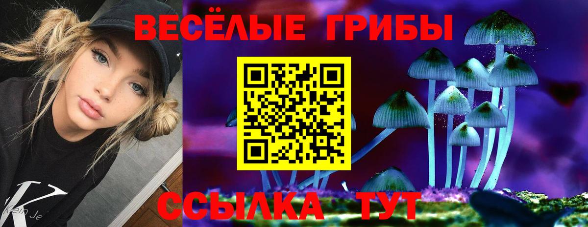 Галлюциногенные грибы GOLDEN TEACHER Азнакаево